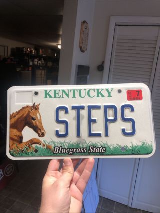 2010 Kentucky Vanity License Plate “steps” Horses Rare