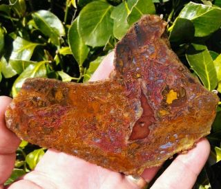 TWO (2) VERY RARE OSTRICH AGATE SLABS ARGENTINA MOSS RED PURPLE FILAMENTS 8.  3OZ 2