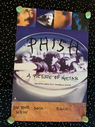 Rare Phish “a Picture Of Nectar” Promo Poster 1992 Elektra Phish Poster 30x20