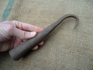 Rare Antique Vintage Fish Fishing Tuna Gaff Hook Wrought Iron Hand Forged