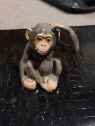Rare Hutschenreuther Porcelain “chimpanzee” German Bavarian Monkey Figurine