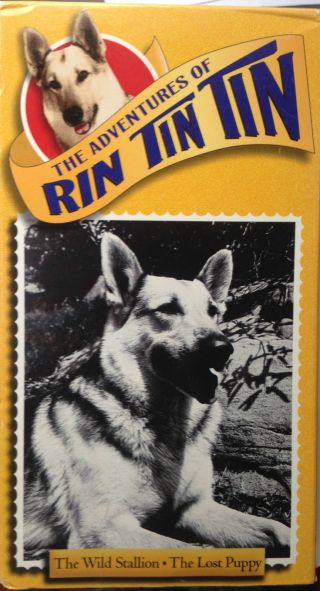 The Adventures Of Rin Tin Tin: Wild Stallion/lost Puppy (vhs) Rare 1954 Episodes