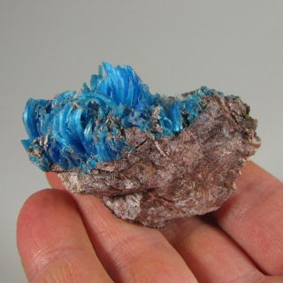 2.  3 " Rare Natural Chalcanthite Crystals Cluster - Planet Mine,  Arizona