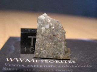 Meteorite Nwa 8115 - Rare Unbrecciated Diogenite With Low Ree - Shiny Opx