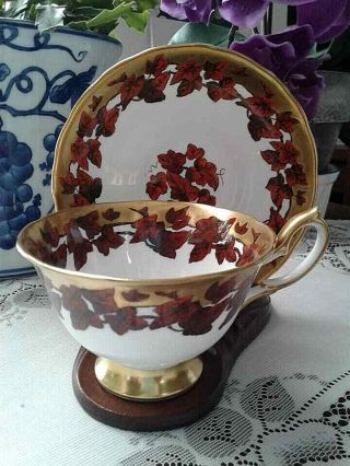 Vintage Rare Royal Chelsea Bone China Cup And Saucer Set With Rust Leaves