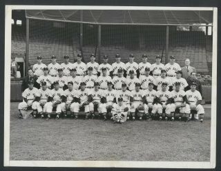 Rare Boston Red Sox Team Press Photo 1949 Ted Williams Mlb Baseball