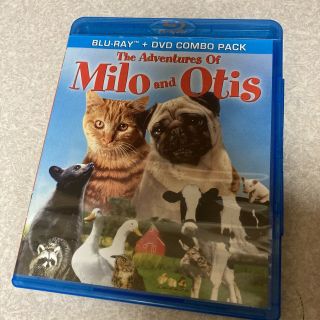 The Adventures Of Milo And Otis Blu - Ray,  Dvd Combo - Rare Oop Htf