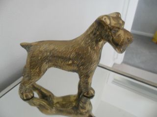 Very Rare - Vintage Large Brass Dog Airedale Terrier Collectable Figure Ornament