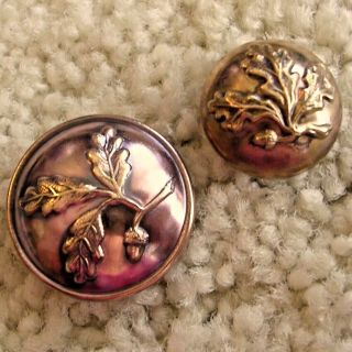 Ex Rare Back Marked Oak Leaf And Acorn Brass Buttons,  Ca.  1880s/1890s