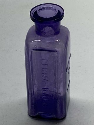 Rare Early Purple Larkin Co Buffalo Derma - Balm Embossed Glass Bottle 4.  5” Tall 3