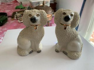 Rare Vintage Spaniel Dogs Pair Set Porcelain