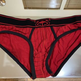 Rare Black Red Vintage Pinstripe Briefs Nasty Pig Logo Gay Fetish M Medium