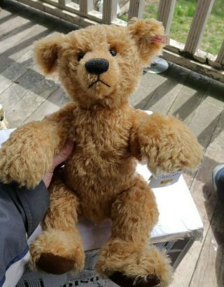 Rare Vintage Large 14 " Jointed Steiff Teddy Bear Doll Gulliver Germany & Tags Nr