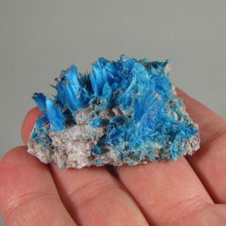 2 " Rare Natural Chalcanthite Crystals Cluster - Planet Mine,  Arizona