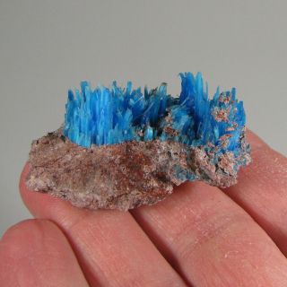 2.  1 " Rare Natural Chalcanthite Crystals Cluster - Planet Mine,  Arizona