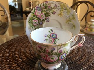 Vintage Teacup And Saucer Royal Albert Fringed Gentian (rare) 1950s
