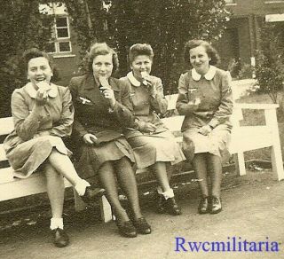 Rare Female Wehrmacht Blitzmädel Helferin Girls In Work Dresses On Bench