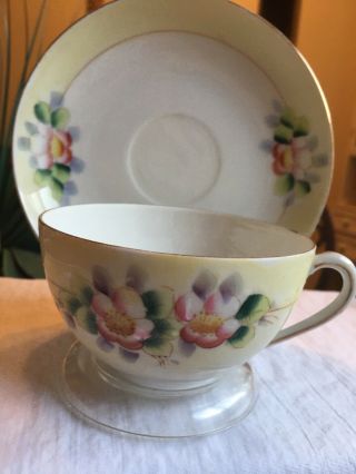 Vintage Tea Cup And Saucer Handpainted Meito China (rare) 1960s
