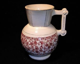 Rare D.  F.  Haynes Baltimore Haynesware Pottery Real Ivory Pitcher 1882 - 1890