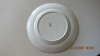 Radfords Fenton bone china - - rare pre - 1940s design dinner plate - - made in England 2