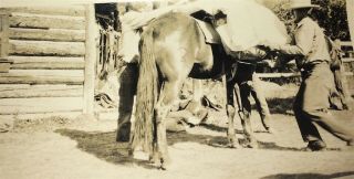 Rare Antique Vintage Western American Cowboys & Horse Snapshot Photo Us C.  1920