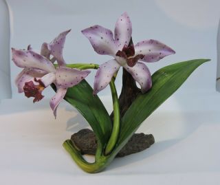 Rare Vintage Franklin Collectable " The Glossy Amethyst " Porcelain Botanical