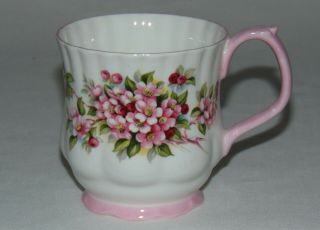 Royal Albert Rare Apple Blossom Time Tea Coffee Mug Large Teacup