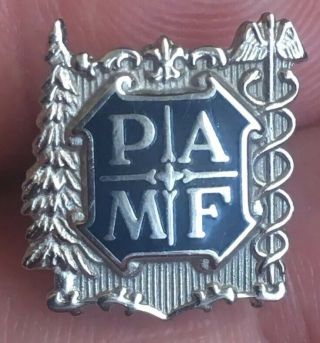 Vintage Rare Lapel Pin 1/10 10k Gf Gold Filled Pamf Palo Alto Medical Foundation