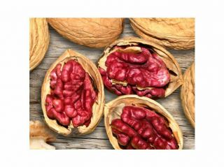 Extra Rare - Red King Wallnut - 10 Seeds