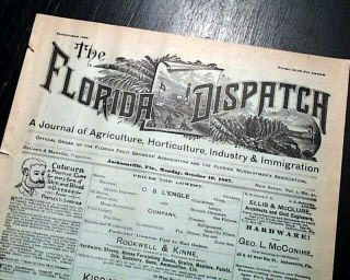 Rare Jacksonville Duval County Florida Fruit & Vegetable Growers 1887 Newspaper