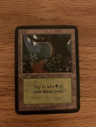 Mtg 1 Alpha Forest Land Magic The Gathering Card X1 Limited Edition Rare