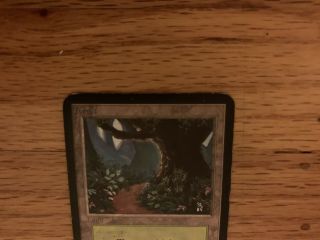 MTG 1 ALPHA FOREST LAND MAGIC THE GATHERING CARD x1 Limited Edition RARE 2