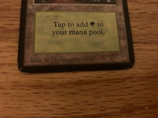 MTG 1 ALPHA FOREST LAND MAGIC THE GATHERING CARD x1 Limited Edition RARE 3