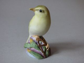 Rare Collectable Royal Worcester Porcelain Wood Warbler Bird Uk P,  P