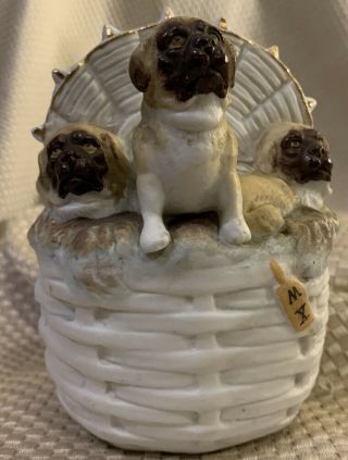 Rare Antique German Bisque Trio Boxer? Puppies Dogs.  In A Basket Vase Figurine