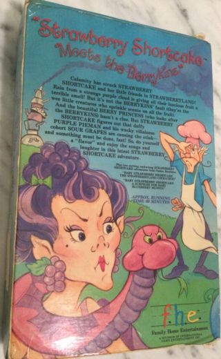 " Strawberry Shortcake Meets The Berrykins " Vhs Tape 1985 Rare