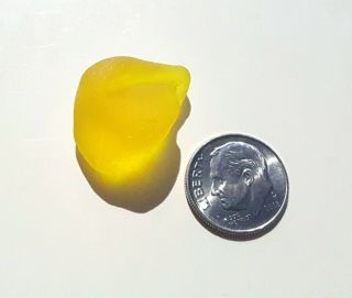 Nova Scotia Beach Sea Glass - Rare Bright Lemon Yellow