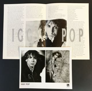 Iggy Pop Instinct Rare Press Kit 1988 Stooges A&m W/photo