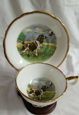 Vintage Salisbury Tea Cup & Saucer Field Scene Springer Spaniel Hunting Rare
