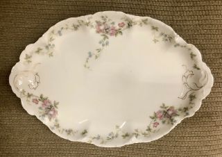 Rare Antique R C Versailles Rosenthal 12 " Oval Platter Hand Painted Gold Detail