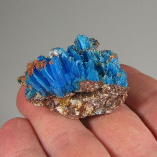 1.  6 " Rare Natural Chalcanthite Crystals Cluster - Planet Mine,  Arizona