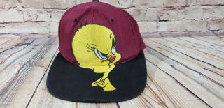 Rare Vintage Prime Time Looney Tunes Tweety Bird 1994 Snapback Hat Cap 90s