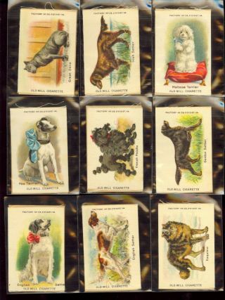 1910 Old Mill Cigarette Tobacco Silk S4 BREEDS OF DOGS Full SET (25) EX/MT 3