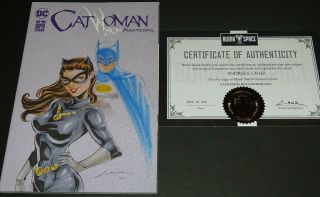Catwoman 80th Anniversary Sketch Variant (2020.  Dc) Sketch Art