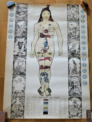 Vintage Zodiac Wall Chart Astrology On Human Body Map Chart 40 "
