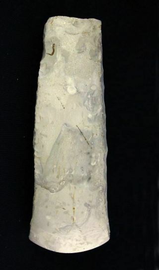 Sc A Danish Neolithic ‘thinbutted’ Axe,  3000 - 2500 Bc