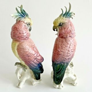 Vintage Karl Ens Porcelain Parrots/cockatoos - Germany - Large