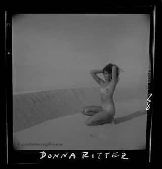 Bunny Yeager 1960s Pin - up Camera Negative Nude Laura Taylor Padre Island Texas 2