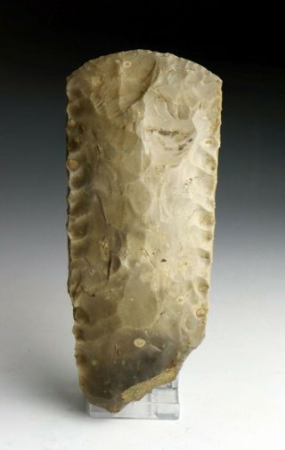 Sc A Thinbutted Danish Neolithic Axe,  4th Mill.  Bc