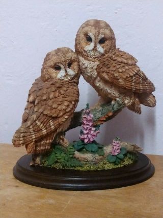 Tawny Owl Pair With Fox Gloves Country Artists Hand Crafted 9 " (23cm) High